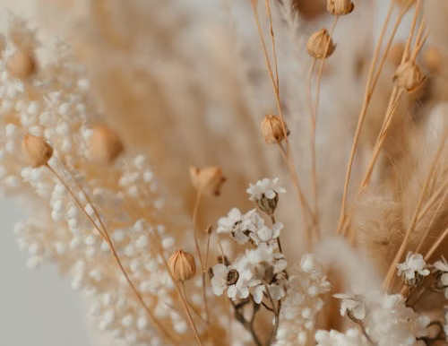 What We Pack in Our Hospital Bag