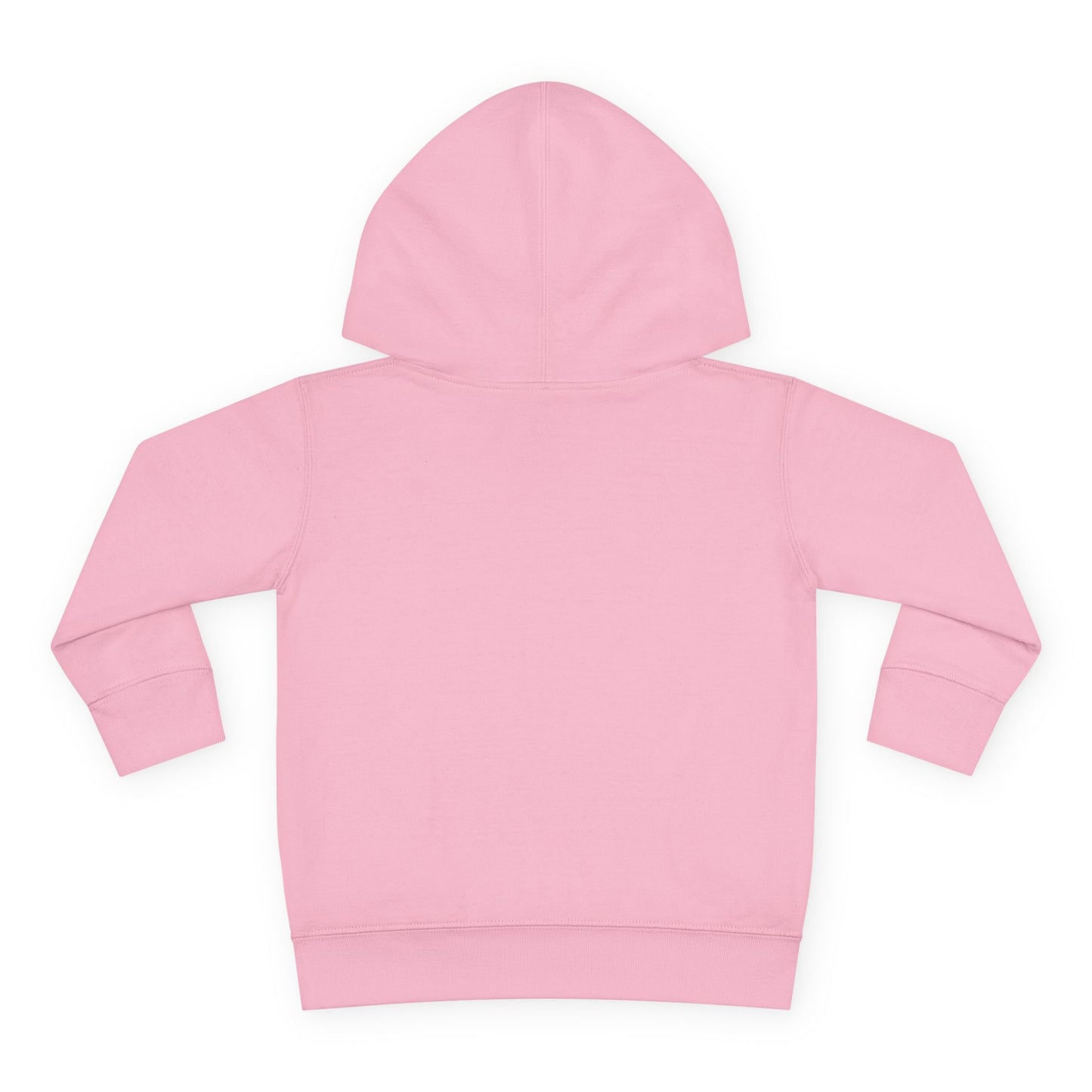 San Francisco Toddler Hoodie — Golden Gate Bridge & Seagull Pullover
